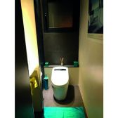 Toilette japonais Luxe Platinium Plus TopToilet