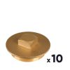 Lot de 10 bouchons laiton à visser - M 1" - Sobime