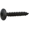 Vis penture tête cylindrique bombé T30 - Ø 6 mm - 40 mm - Zingué noir - Boîte de 200 pièces - Viswood