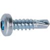 Vis tôle tête cylindrique C2 - Ø 4,2 mm - 13 mm - Zingué blanc - Boîte de 500 pièces - Viswood