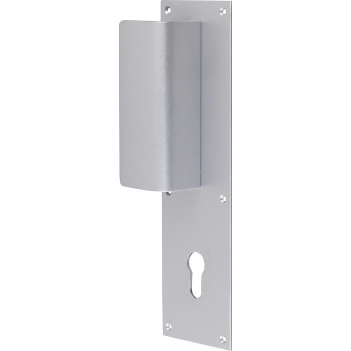Poignée de porte palière sur plaque alu argent - Clé I - Duval
