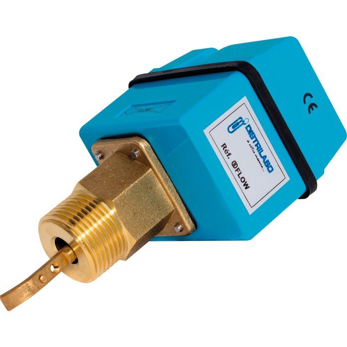 Contrôleur de débit à palette DFLOW - Filetage 1" - Distrilabo