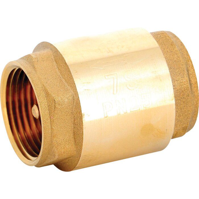 Clapet anti-retour laiton double guidage - Obturateur laiton - FF 1" - Série 307 - Sféraco