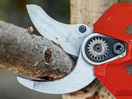 Lame acier SK5 revêtement PTFE sécateur DCK