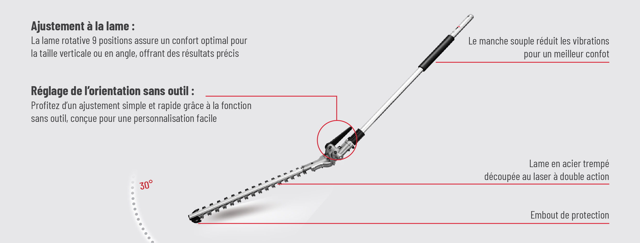 Module taille haie sur perche DCK 58V