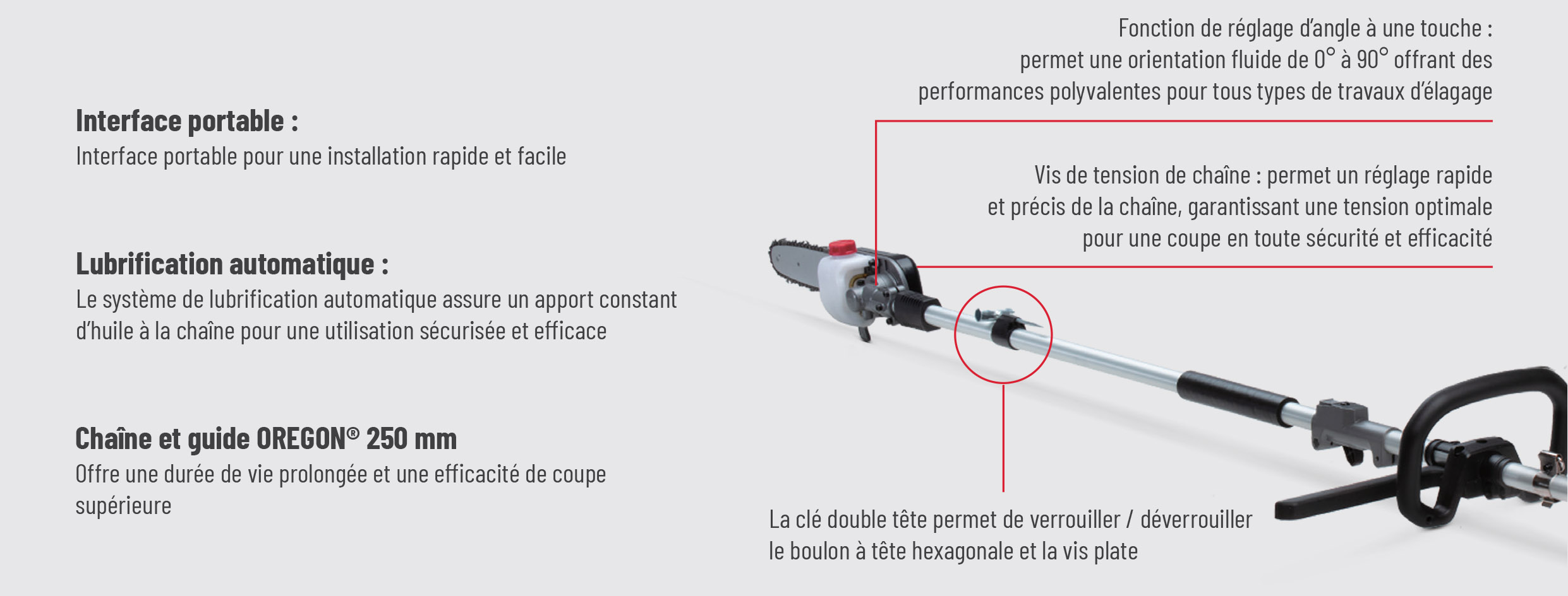 Module élagueuse sur perche DCK 58V