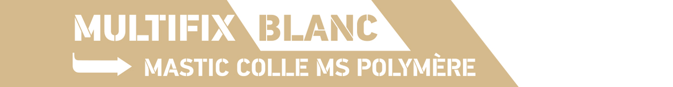 Logo MULTIFIX BLANC FIXPRO