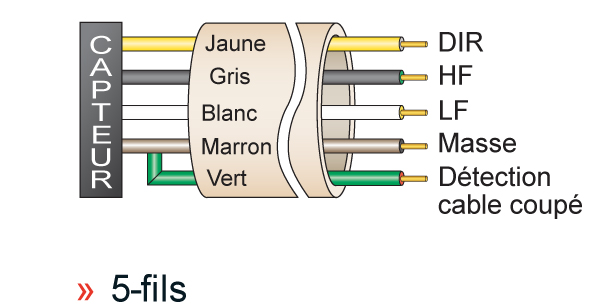 Schéma de raccordement 5 fils du Cyble Sensor Itron - DIR, HF, LF, masse et détection de câble coupé